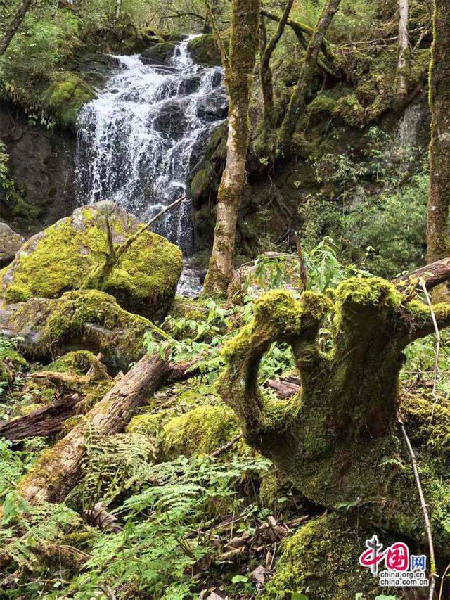 高舜礼：神农架的旅游，应重在“神”上发力