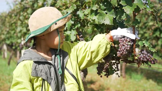 双节赴仙境｜这份蓬莱旅游“仙”气攻略请收好