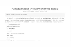 多地密集出台“禁止折叠电动车等上地铁”规范    专家：各地规模不同  要因地制宜图片