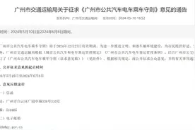 多地密集出台“禁止折叠电动车等上地铁”规范    专家：各地规模不同  要因地制宜图片