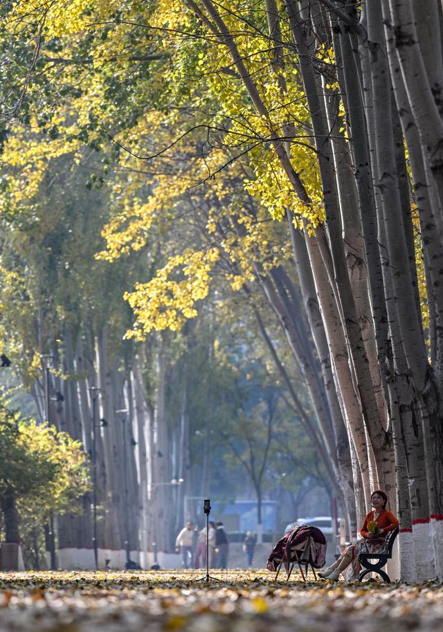 美丽中国丨塞上湖城秋意浓