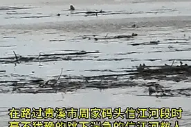 辅警樊晶纵身一跃！上演生死救援图片