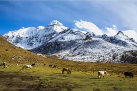 雪顿节进江苏|“圣洁拉萨·魅力雪顿” 亮相第五届大运河文化旅游博览会图片