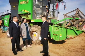 邮储银行山东省分行向粮食收购行业投放贷款48亿元图片