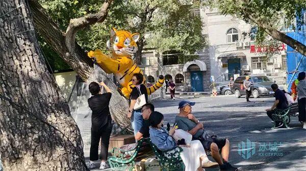 初秋哈尔滨“黄房子”引客来，市民游客乐享清爽时光