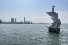厦门实践调研｜"粉豚"吸粉，海上精灵享福厦门湾图片