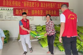 广西供销合作联社捐赠化肥助力石平村春耕图片