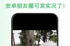 微信又有新功能！网友：“终于可以了”图片
