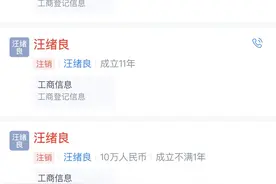 湖北大悟县上百村民被冒名注册个体工商户，当地政府：全面核查图片