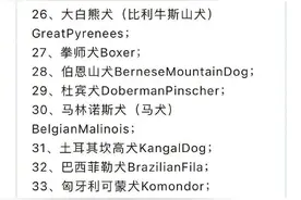 成都发布最新限养区禁养犬品种目录，罗威纳犬等在列图片
