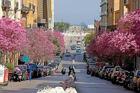 列国鉴·黎巴嫩｜记者观察：黎巴嫩国家重建道阻且长图片