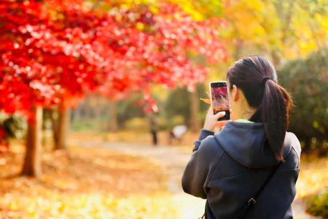 宿城，已经美成这样！