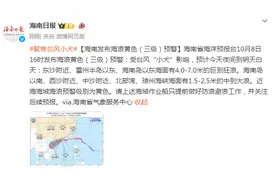 海南发布海浪黄色（三级）预警图片