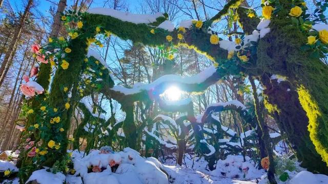 错过等一年！这个冬天，来嵩县“嗨皮”一圈！