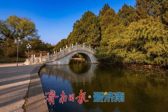 一年四季 泉在济南丨济南降温迎清透蓝天 南郊宾馆公园冬日景致美如画