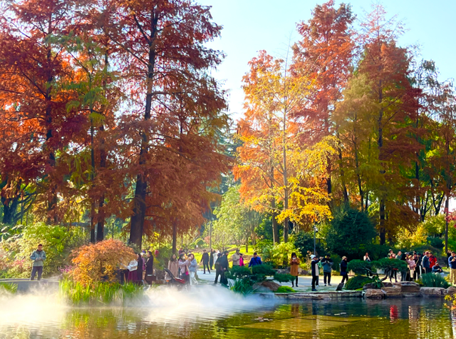 美到犯规！藏在静安深处的秋冬打卡地图上线丨静宝聊天室