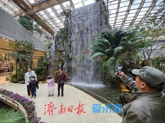一年四季 泉在济南丨游鹊华中新园 市民打卡热度不减