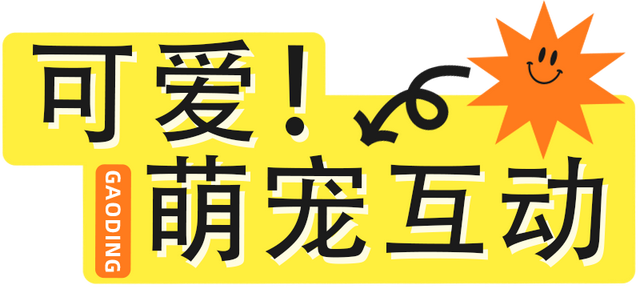 明天过节，但福利却不止明天～这些教师专属福利不可错过！