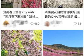 满园春色关不住，济南“赏花经济”迎来热潮图片