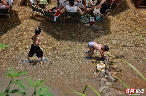 周末出走计划：浏阳深山溯溪营地，承包一整夏的清凉