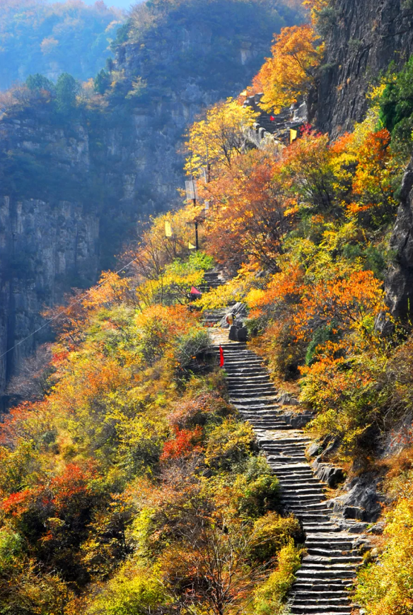 长治两个景区面向全国游客，免门票啦！