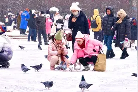哈尔滨又迎飘雪  游客市民欢乐多图片