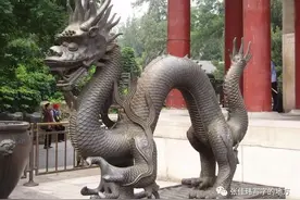 龙到底啥样？世界各地神话里都有？图片