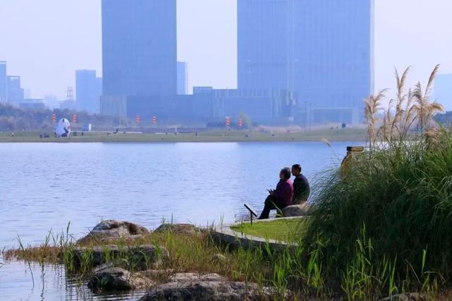 直冲23℃！成都全城开启晒太阳模式，抓紧机会，降温降雨又要来了……
