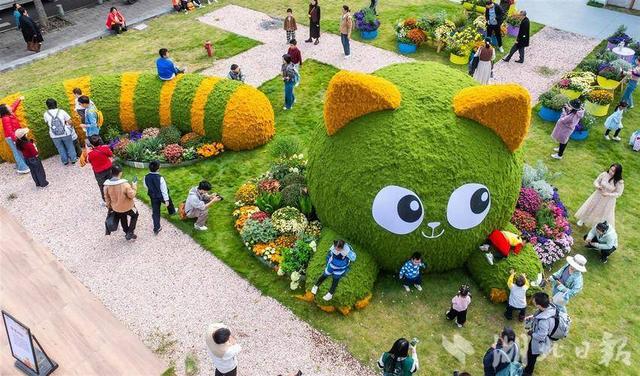 现场火爆！武汉今秋最大花展开幕