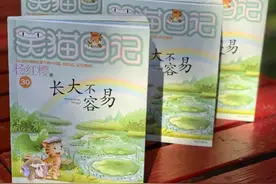 连载18年的《笑猫日记》迎来完结！网友：我的童年也一起完结了图片