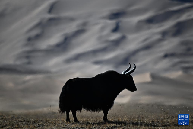 走进阿尔金山 镜遇秘境昆仑