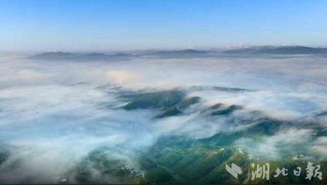 用好“凉资源”激活“热经济”——竹溪县打造消夏避暑胜地