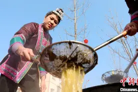 广西侗乡油茶飘香风情浓图片