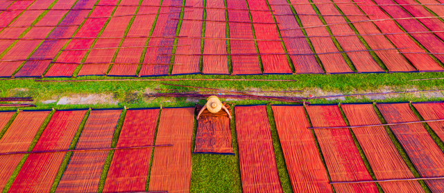 来南沙看五月天！看海、骑行……100+网红打卡点合集→