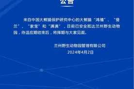 兰州又有大熊猫了，一下4只！它们的家世、名字、长相，看过来→图片
