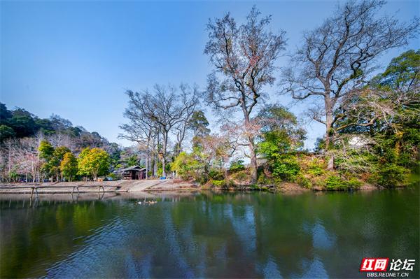 山水为幕，侗寨为景！看湖南上湘村如何美成“向往的生活”