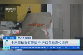 主产国秘鲁暂停捕捞，进口鱼粉价格大涨！下半年鱼粉价格怎么走？图片