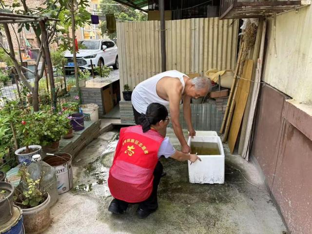 【瀍河动态】一览瀍河动态