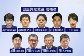 日本自民党总裁选举倒计时 小泉进次郎向麻生太郎求支持图片
