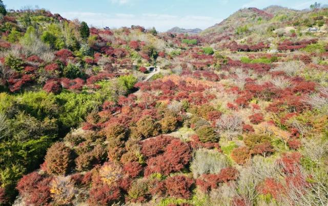 Hi走奉化① | 来栖霞坑，奔赴一场唐诗之路的千年约会吧！