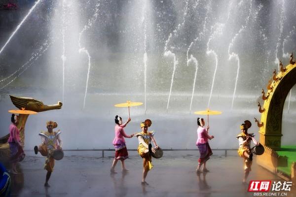 岁暖时刻丨西双版纳森林公园：彩裙碰彩伞，傣风裹着蕉香漫