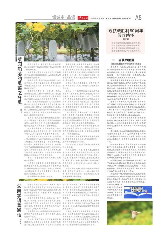 岳阳文旅“加料”，今年“湘超”buff值拉满——《岳阳晚报》9月10日版面速览