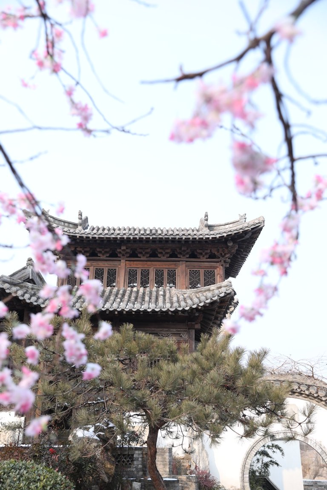 马踏春归·雅韵二七丨2026新春文旅精品线路来了！