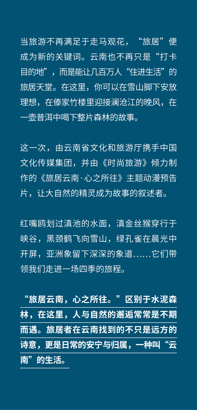 中国“旅居”天花板，为什么还得是云南？