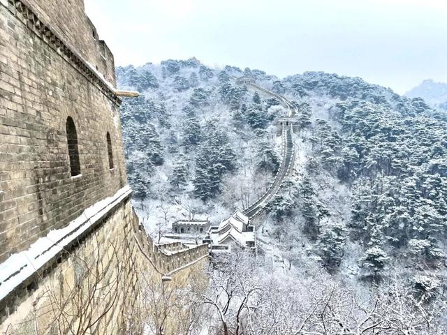 北京下雪了！雪景大片抢先看！外出注意防寒保暖