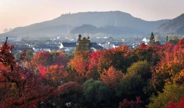 苏州的秋天，给你点“颜色”看看！