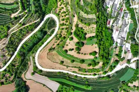 甘肃成县：美好乡村路 幸福新图景图片