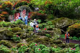 世园会，让世界再次进入「成都时间」！丹景山的牡丹，等你来图片