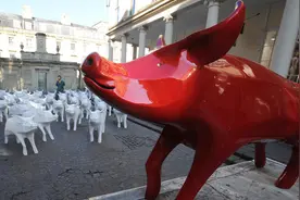 在历史上遭到起诉的杀人动物记录中，为什么猪如此普遍？图片