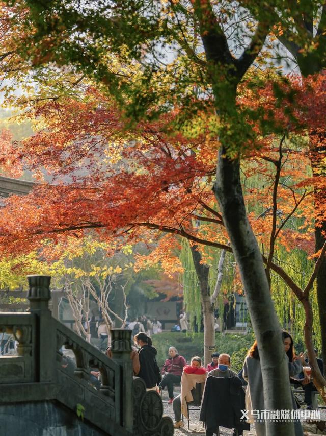 顶流来了！在骆宾王公园